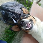 Alan Moncada - @alan_m0ncada - Instagram