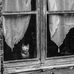 Alain Monfort - Facebook