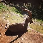Alain Monier - @alain.monier.tpe - Instagram