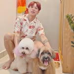 Alan Mook - @alanmookmook - Instagram