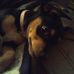 Alan Moorman - Facebook