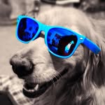 Alan - @alanmorefield - Instagram