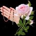 Alan Morel - Facebook