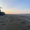 Alana - @alanamoreton - TikTok