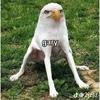 Alan Morey - @alanmorey1555555 - TikTok
