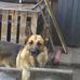 Alan Morley - Facebook
