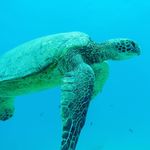 Alan Moro - @alan.moro.372 - Instagram