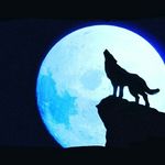 Alan Mullins - @abmull0213 - Instagram