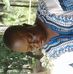 Allan Neale - Facebook