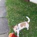 Alan Newbery - Facebook
