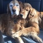 Al Niblock - @niblockal - Instagram