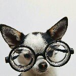 Alan Franco - @alannies - Instagram