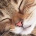 Alan Niescioruk - Facebook