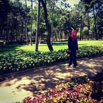 nisanur  alan - @alannisanur - Instagram