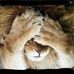 Alan Nussbaum - Facebook