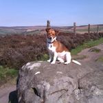 Alan Oakley - @alan.oakley.7792 - Instagram