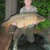 Allan Orchard - Facebook