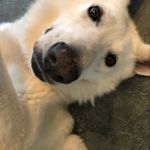 Alan Ott - @alan.ott - Instagram