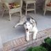 Alan Otten - Facebook