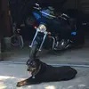Alan Auten - @alanauten0 - TikTok