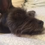 Patrick Alan Oviatt - @patrickovi212612 - Instagram