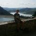 Alan Pacek - Facebook