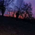 Alan Pacek - @pacek.alan - Instagram