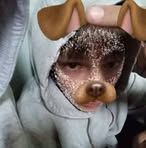 Alan Paczkowski - Facebook