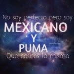 AlAn Padron - @alan2808 - Instagram