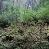 Pagan Alan - @pagan.alan - TikTok