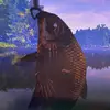 Alan Pająk - @alan.pajk - TikTok