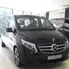 Alan Pak - @alan.pak7 - TikTok