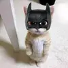 alan pak? - @soybatmanwn - TikTok
