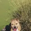 Alan Pakeado Guzman - @alanpakeadoguzman - TikTok