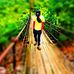 Alan Pala - Facebook