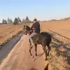 Alan Palafox271 - @alanpalafox271 - TikTok