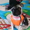 Alan Palacios - @alan.palacios074 - TikTok