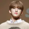alanpalermo04 - @straykids16 - TikTok