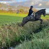Alan palmer - @alanpalmer201 - TikTok