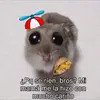 Alan dario Palomares Rodríguez - @alandariopalomare - TikTok