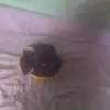 Alan palos - @alanpalos2020 - TikTok