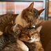 Alan Pangborn - Facebook
