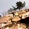 Alan Baker - @alanbaker22 - TikTok