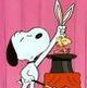 Allan Pannell - Facebook