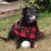 Alan Pappas - Facebook