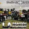 LSD🩵🇧🇼 - @alanparada - TikTok