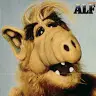Alan Paredes - @alanparedes10 - TikTok