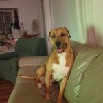Alan Parnell - @alan.parnell.353 - Instagram