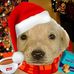 Alan Parrillo - Facebook