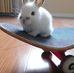 Alan Silenciado Parrillo - Facebook